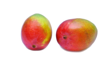 Mango isolated on white background