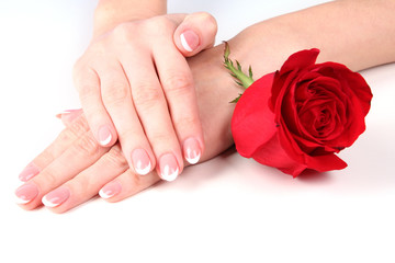 Pair of woman hands with red rose on table