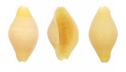 conchiglie shell pasta