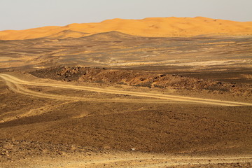Sahara Desert  Morocco