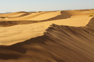 Sahara Desert  Morocco