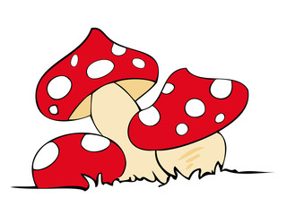 Poisonous mushrooms.