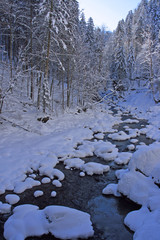 Bach im Winter