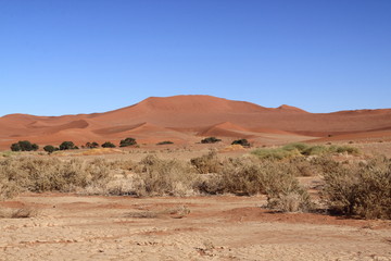 Désert du Namib