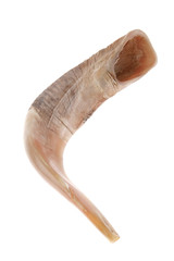 ram horn ( shofar )