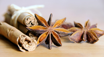 Zimtstange und Anisstern - cinnamon stick and star from anis 17