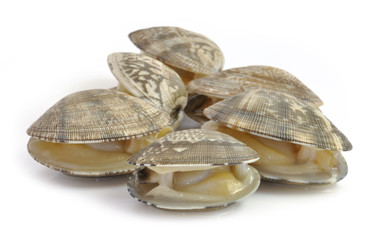 Almejas naturales. © Sergio Martínez