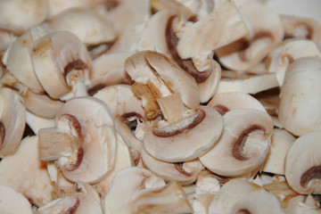 Champignons - Hintergrund