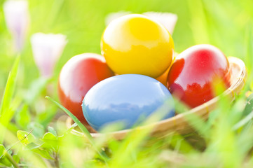 Fototapeta na wymiar Painted easter eggs in a basket
