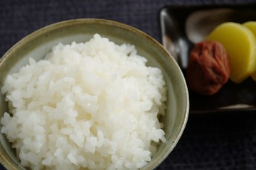 ご飯