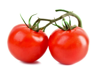 Two tomatos isolated on white