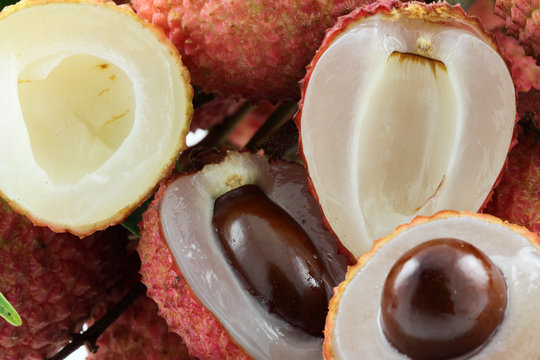 litchi, letchi, litchis, letchis, letchee, letchees, litchee