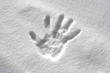handprint in fresh snow