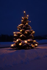 weihnachtsbaum beleuchtet