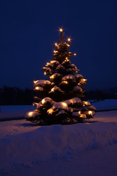 weihnachtsbaum beleuchtet