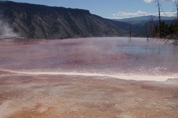 geyser bleu et rose
