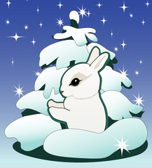 новый год © persifot