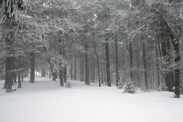 Zima w polskich górach, Beskidy
