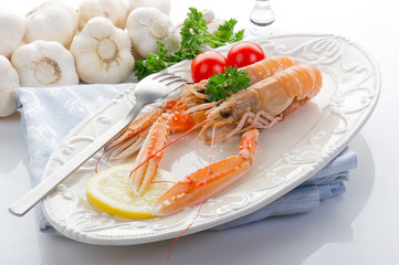norwey lobster -scampi