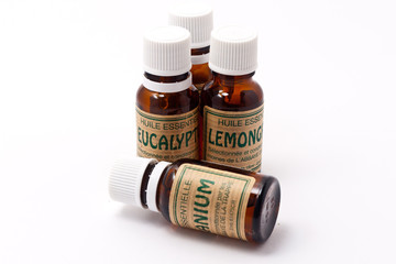 HE lemon ferm&eacute;