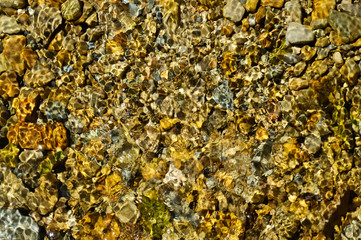 Water ripple texture