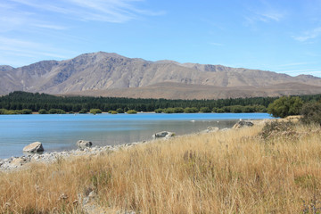 Fototapeta na wymiar Lake Tekapo w Nowej Zelandii