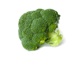 Broccoli floret