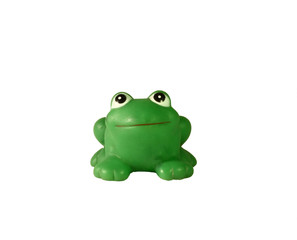 green frog