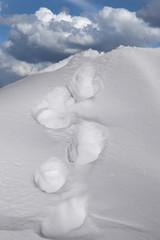 Footsteps in snow on mountain