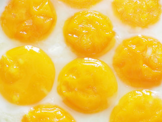 fried eggs
