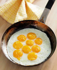 fried eggs