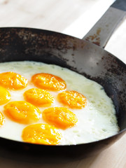 fried eggs