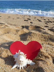 sea, heart and seashell