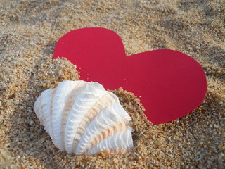 seashell and red heart