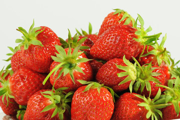 Erdbeeren (Fragaria)