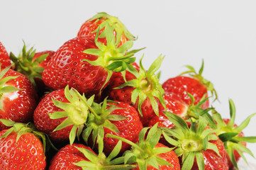 Erdbeeren (Fragaria)