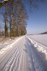Obraz premium Winterlandschaft