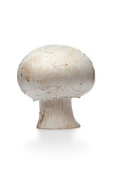 Whole single fresh champignon