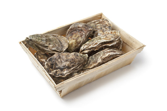 Fresh raw oysters in a box