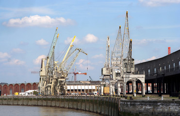 Obraz premium Harbor Cranes Antwerp
