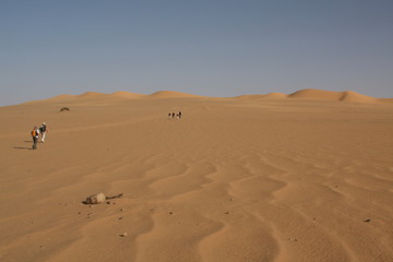 Fototapeta na wymiar Marcheurs dans les dunes de Tittersine