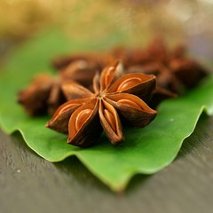 Aromastoffe - Sternanis