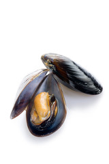 mussel-cozze