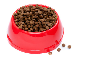 pet food in red bowl