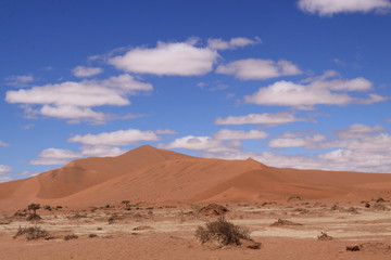 Fototapeta na wymiar Dunes du désert du Namib