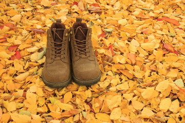 Stiefel und Herbstlaub