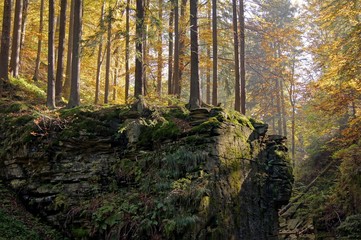 Rock and trees