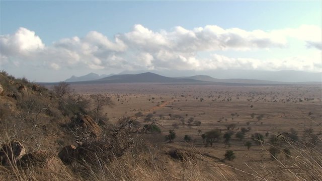 Blick über einen Afrikanischen Nationalpark
