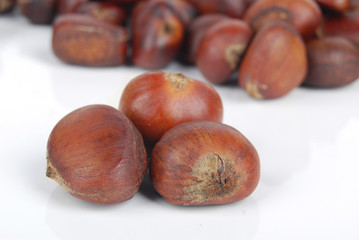 Chestnut
