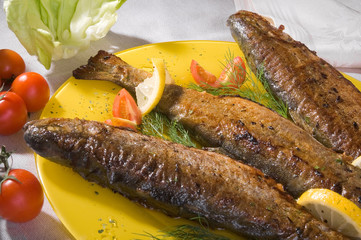 grilled trout